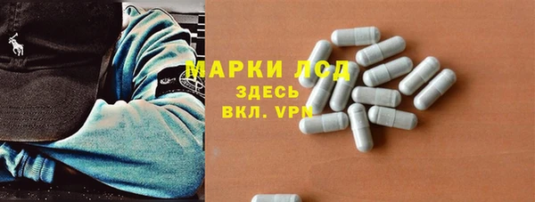 PSILOCYBIN Бородино