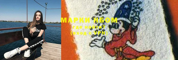 PSILOCYBIN Бородино
