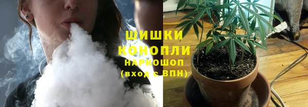 PSILOCYBIN Бородино