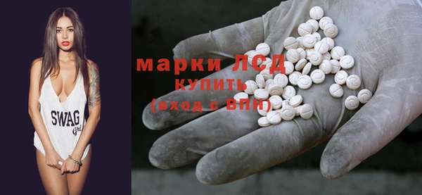 PSILOCYBIN Бородино