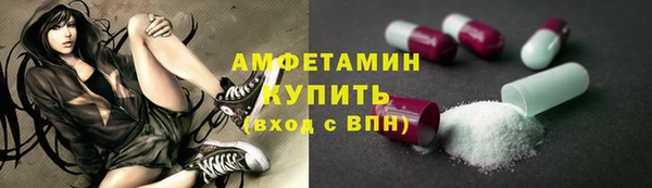 PSILOCYBIN Бородино