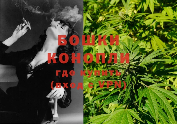 PSILOCYBIN Бородино