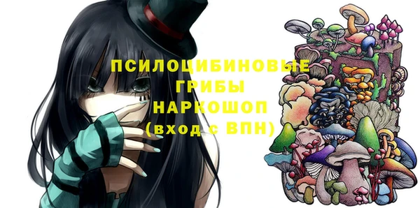 PSILOCYBIN Бородино