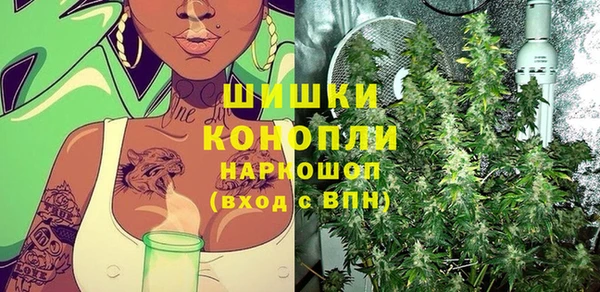 гидра Бугульма
