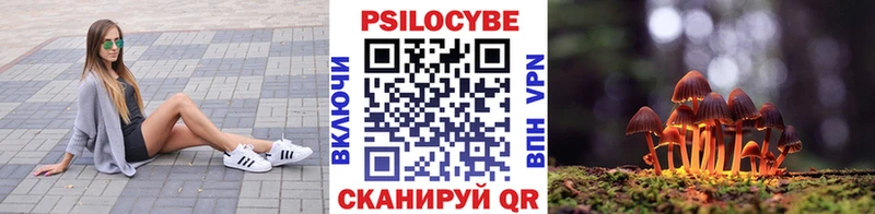 Галлюциногенные грибы прущие грибы  магазин продажи   Медногорск 