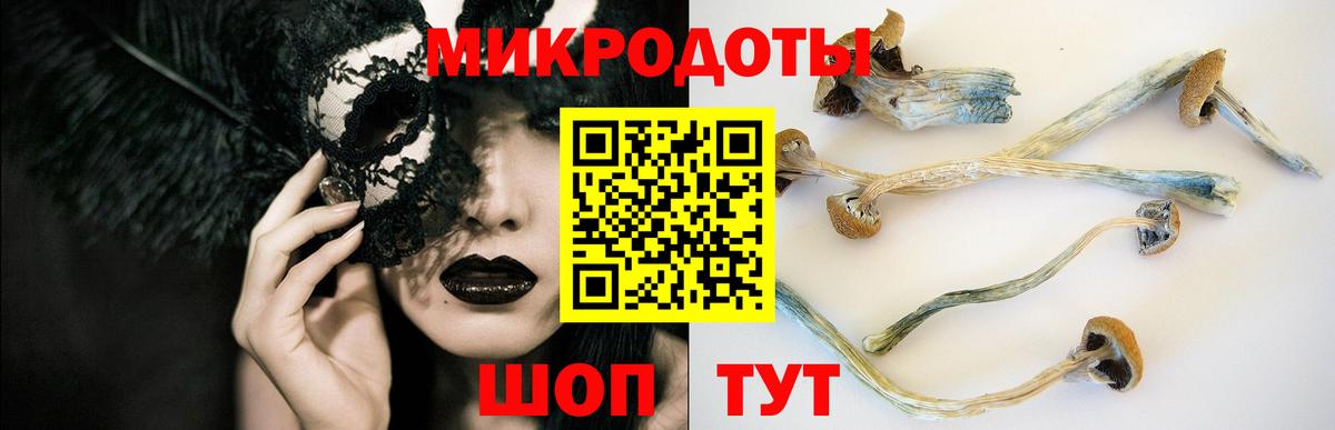 Псилоцибиновые грибы мухоморы  Вход с VPN  где найти наркотики  Медногорск 